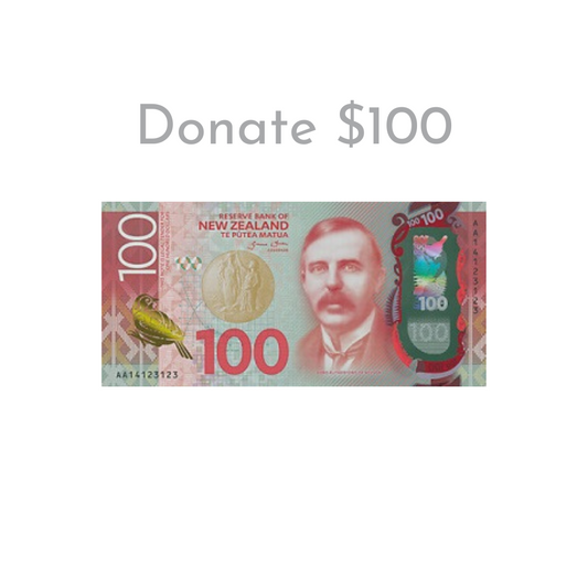Donate $100 | Forward Foundation
